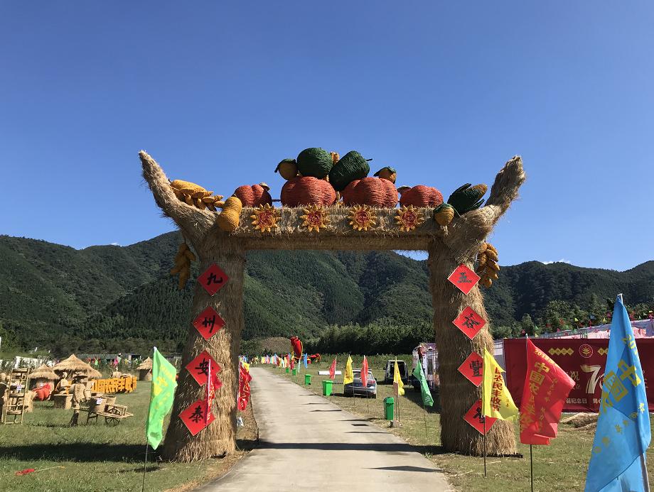 爱丽丝最新奇幻日常冒险之旅